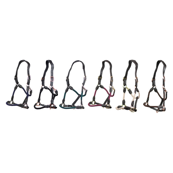 Cameo Anatomic leather headcollar range