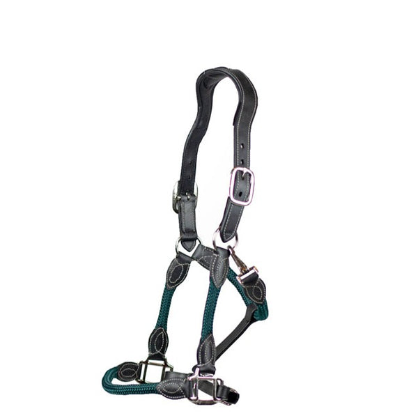 Cameo Anatomic Leather Headcollar