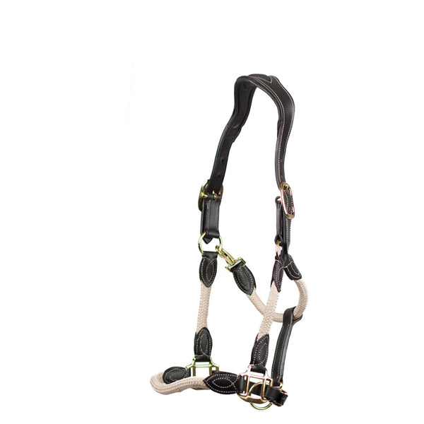 Cameo Anatomic leather headcollar in Natural