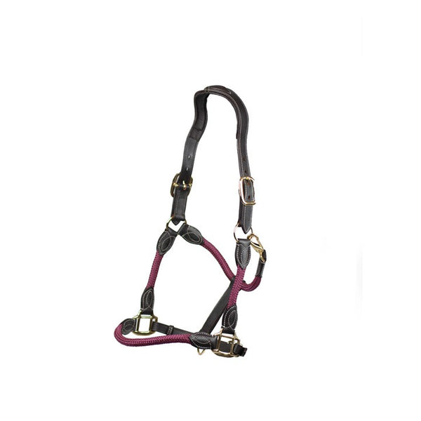 Cameo Anatomic leather headcollar in Plum