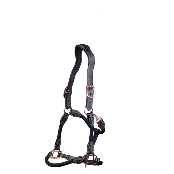 Cameo Anatomic leather headcollar in Black