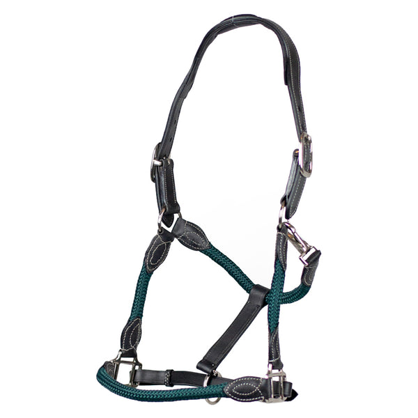 Cameo Anatomic leather headcollar in Green