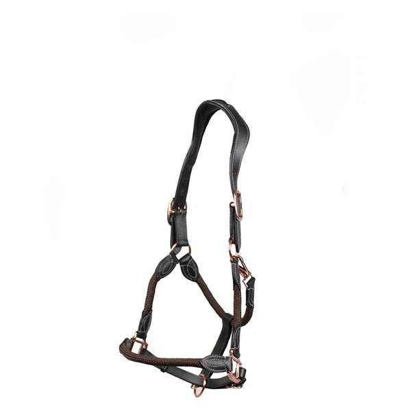 Cameo Anatomic leather headcollar in Brown