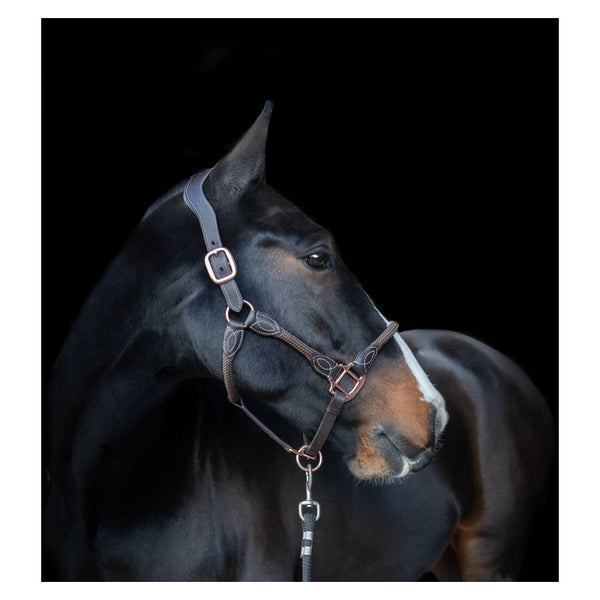 Side view of Cameo Anatomic leather headcollar in Brown on a horse
