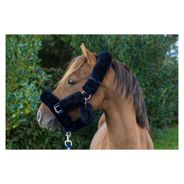 Chestnut horse wearing Cameo Deluxe Fur Headcollar in navy