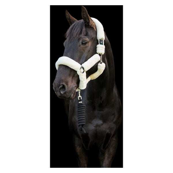 Horse wearing Cameo Deluxe Fur Headcollar in cream