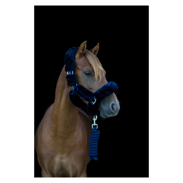 Cameo Deluxe Fur Headcollar in navy on chestnut horse