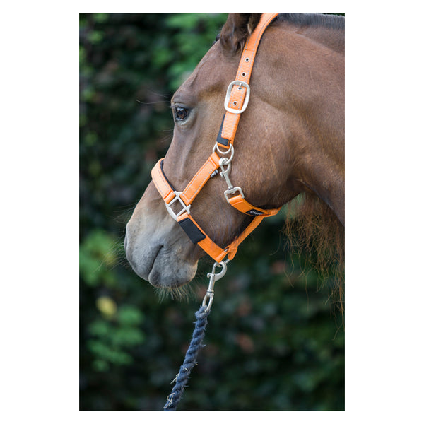 Close up of quick release on Cameo Fieldsafe Headcollar in orange