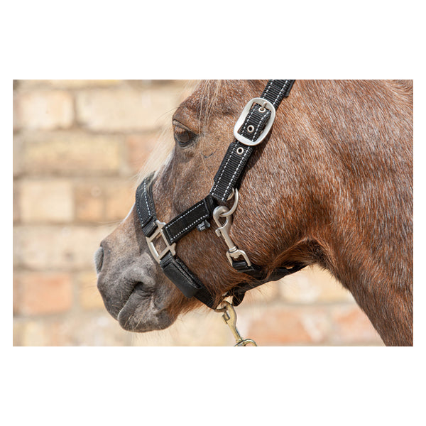Close up of quick release of Cameo Fieldsafe Headcollar in black