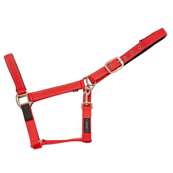 Cameo Fieldsafe Headcollar in Red