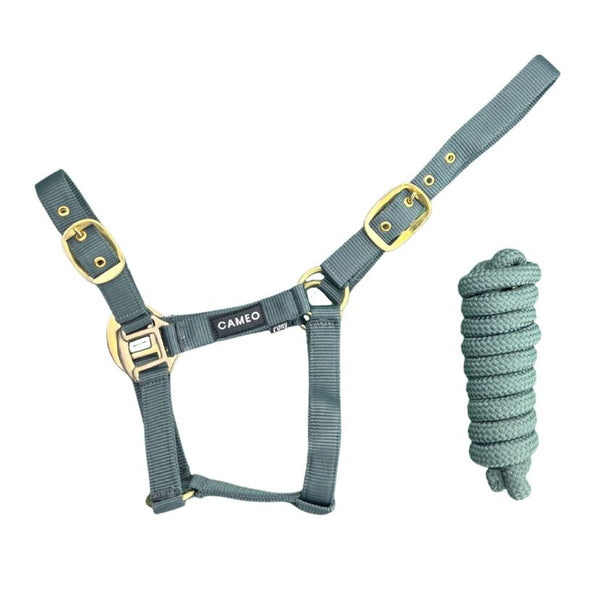 Cameo Supreme Headcollar with matching Rope in teal