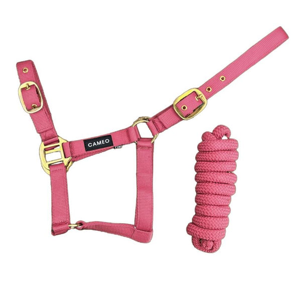 Cameo Supreme Headcollar with matching Rope in terracotta