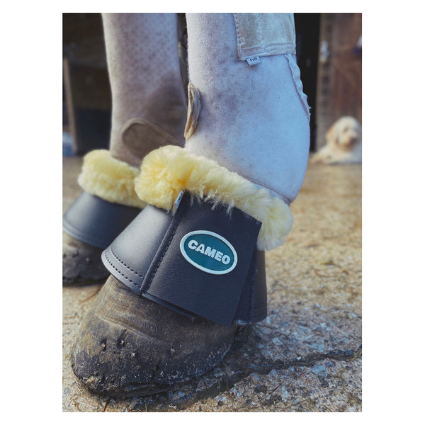 Horse wearing Cameo Trimmed Overreach Boots