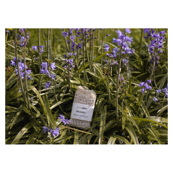 Cameo Shampoo Bar Lavender
