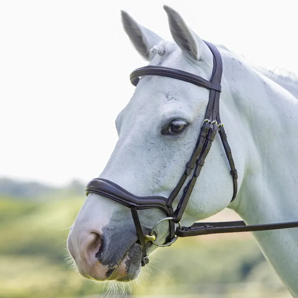 Velociti Rapida Ergonomic Flash Bridle