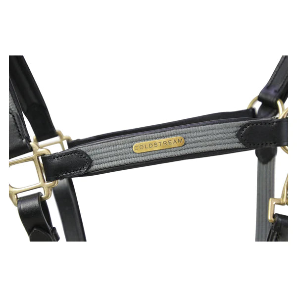 Close up of brass nameplate on Coldstream Bathan Headcollar (seconds) black/grey