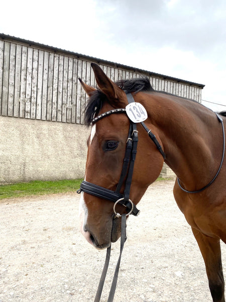 Bridle Number Kit