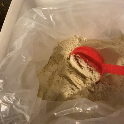 Supplement with scoop. (Horse First MyJoints Plus).