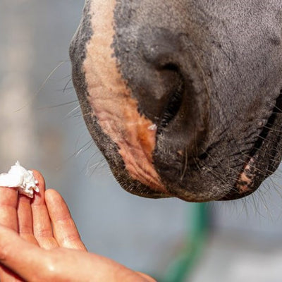 Topical treatments