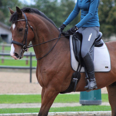Photos of person riding bay horse, wearing Apollo Air Water Repellent Breeches