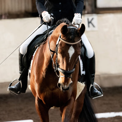 Bridles