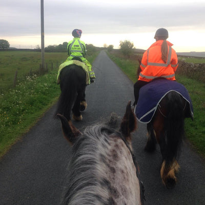 Hi-Viz (equine)