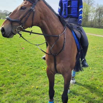 Martingales & Breastplates