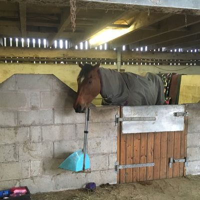 Mucking Out