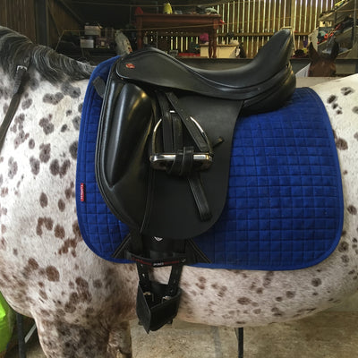 Stirrup Leathers & Irons