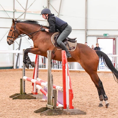 Tendon & Fetlock Boots