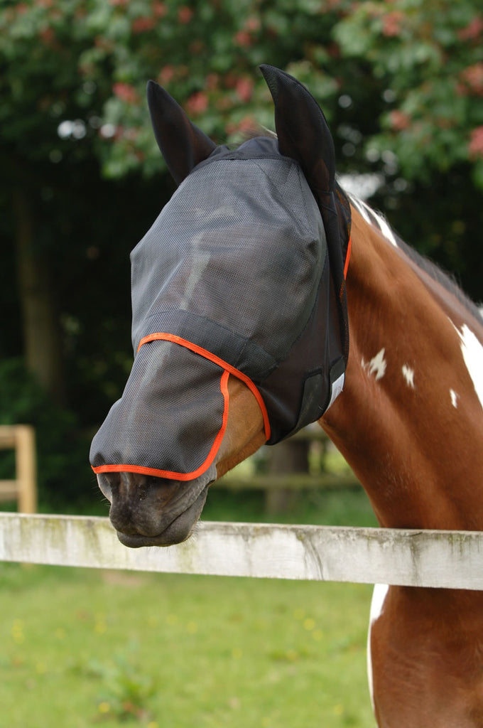 Horse wearing Equilibrium Field Relief Max Fly Mask in Black and Orange