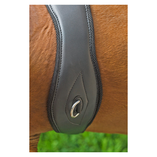 Close up of horse wearing Apollo Air Anatomic Comfort Girth in black