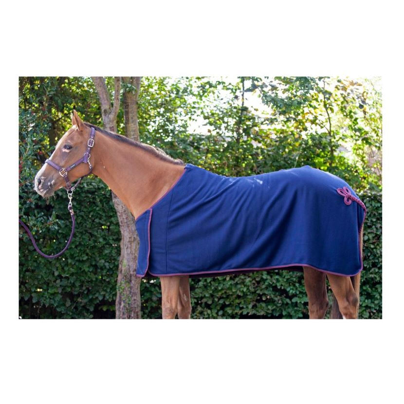 Horse wearing Cameo Core Collection Show Rug