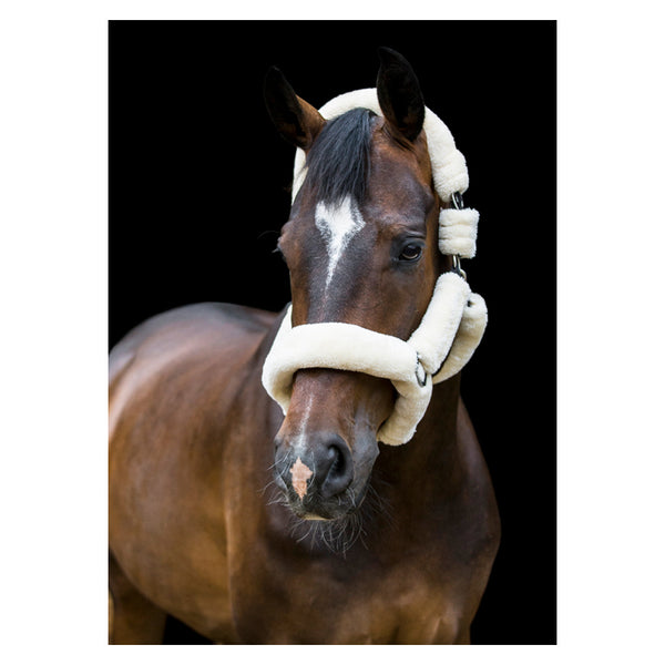 Front view of horse wearing Cameo Deluxe Fur Headcollar in cream