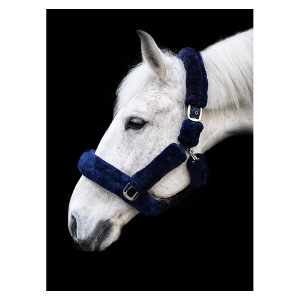 Side view of horse wearing Cameo Deluxe Fur Headcollar in navy