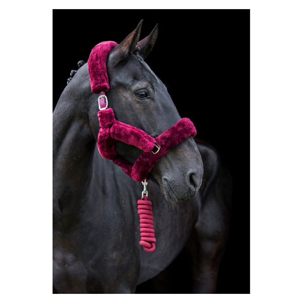 Horse wearing Cameo Deluxe Fur Headcollar in burgundy