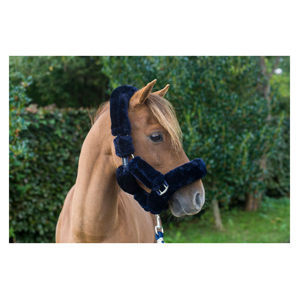 Side view of chestnut wearing Cameo Deluxe Fur Headcollar in navy