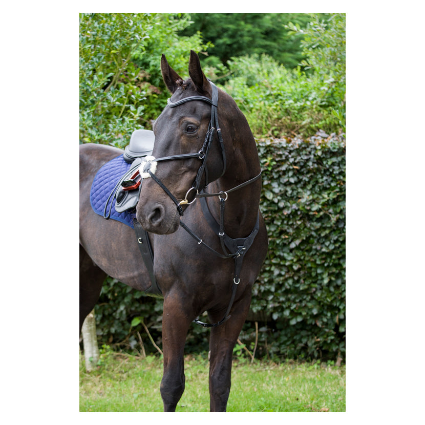 Horse wearing Cameo Performance Elasticated Breastplate in Black