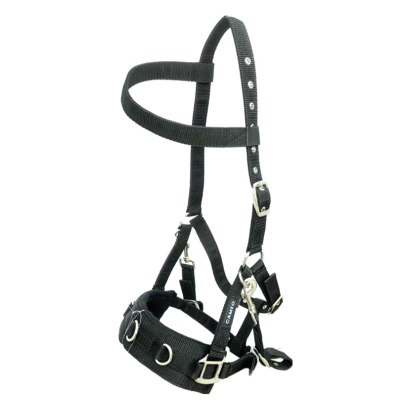 Cameo Professional Lunge Cavesson With Detachable Bit Straps