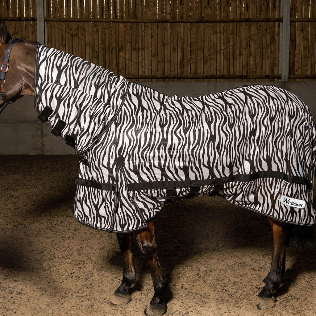 Horse wearing Whitaker Marwell Fly Rug Zebra Print
