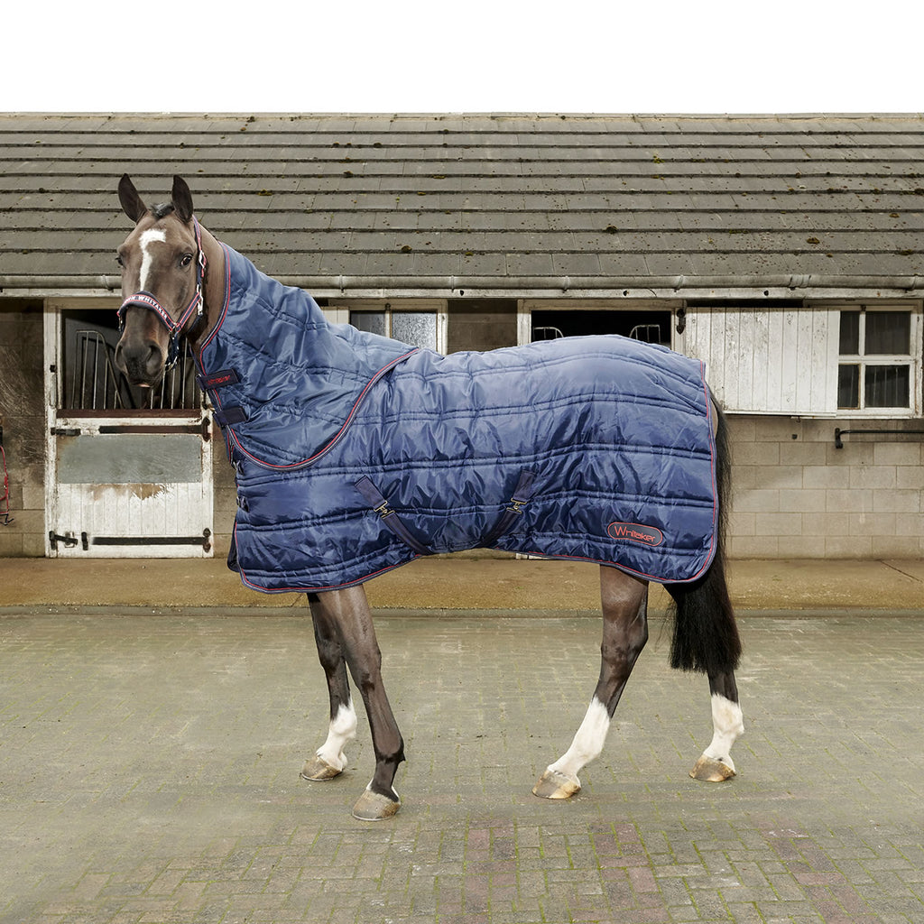 Horse wearing Whitaker Rastrick Stable Rug with Detachable Neck 