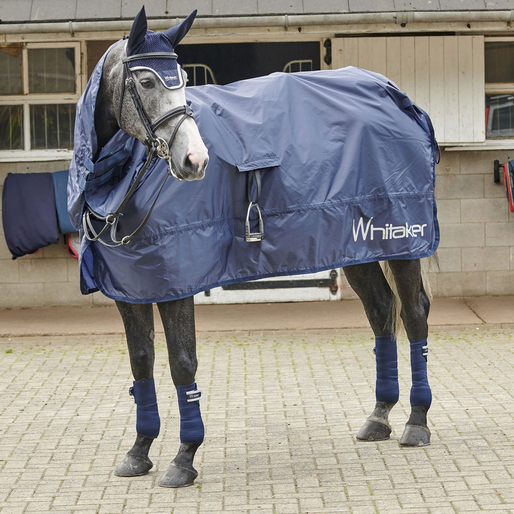 Horse wearing Whitaker Rothwell Roll-up Rain Sheet