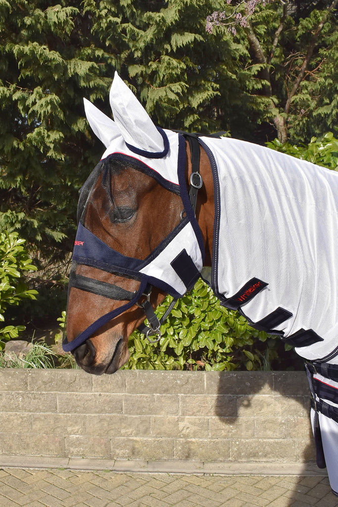 Horse wearing Whitaker Rastrick Fly Face Shield