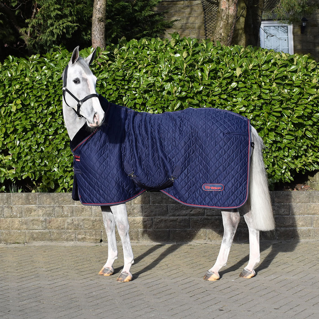 Horse wearing Whitaker Rastrick Cosy Stable Rug