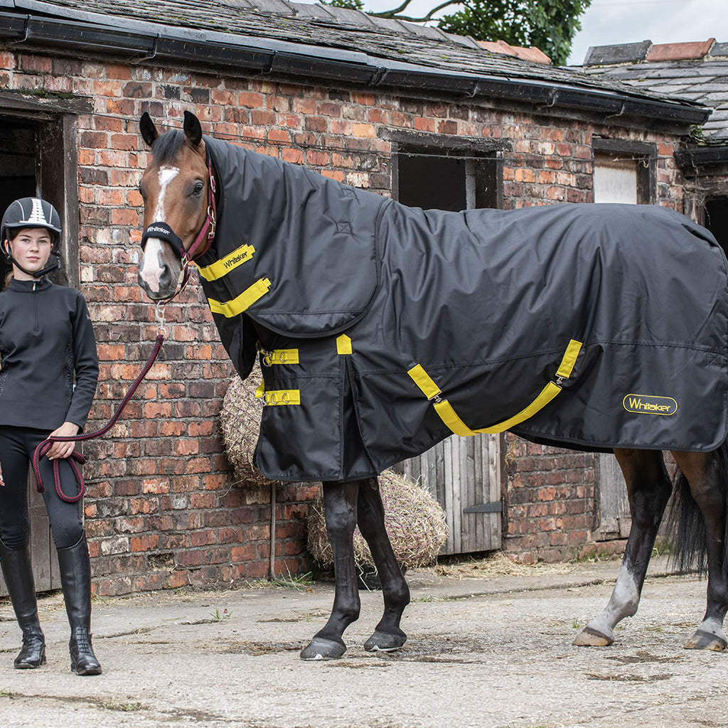 Horse wearing Whitaker Ludworth Turnout Rug Combo