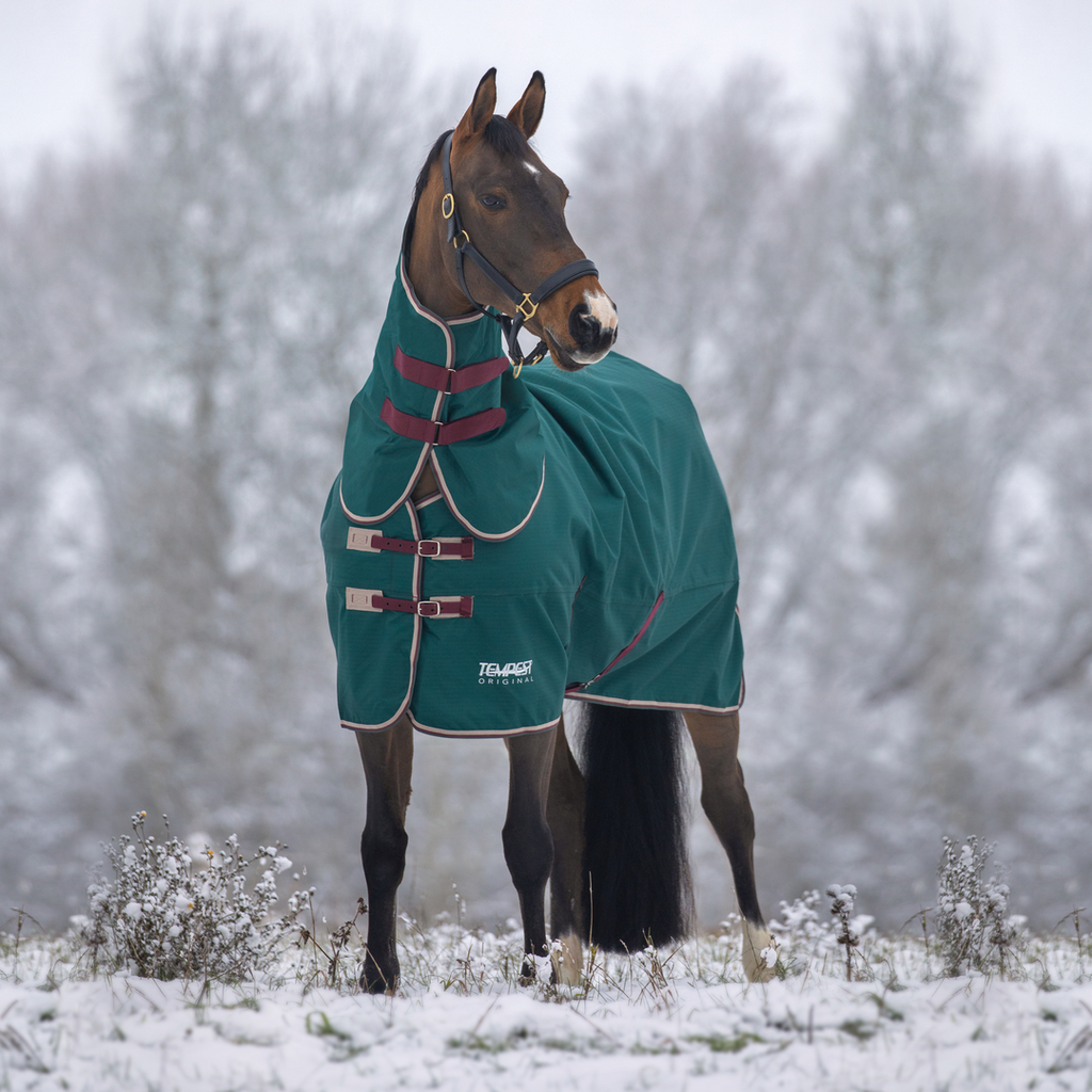 Horse turned out in the snow wearing Tempest Original Air Motion Combo Turnout Rug