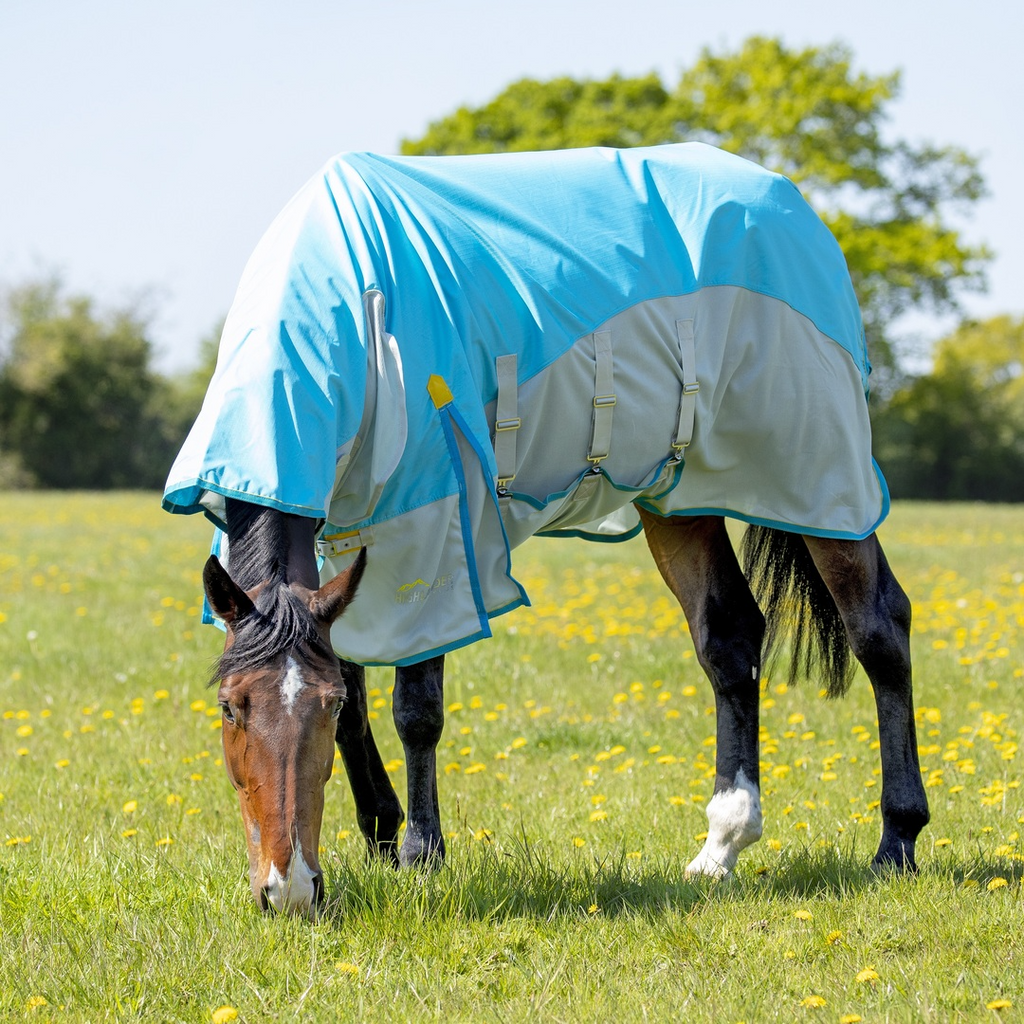 Horse grazing wearing Highlander Plus Waterproof Fly Rug