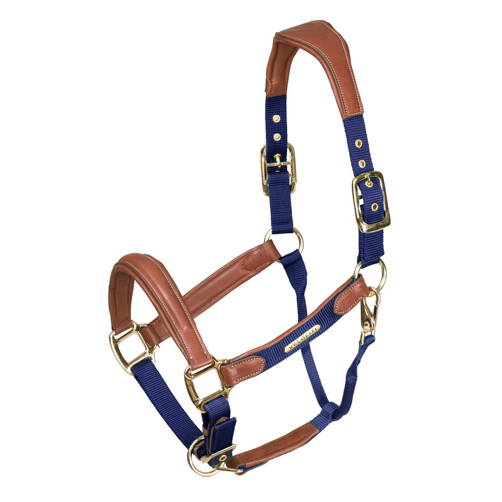 Lusso Padded Leather Headcollar in Navy