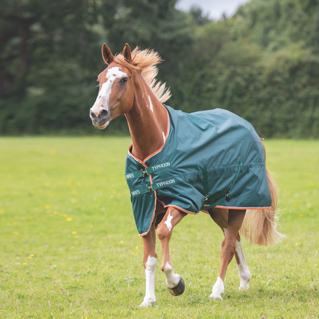 Horse wearing Typhoon Lite Turnout Rug