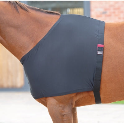 Horse wearing Shires Anti-Rub Stretch Vest